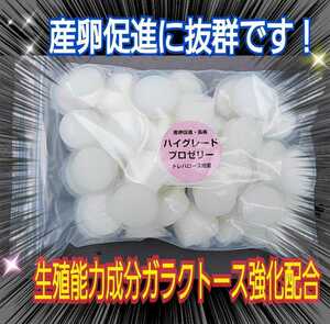 ハイグレードプロゼリー【50個入】トレハロース強化！　クワガタ、カブトムシの産卵数アップ・長寿効果に抜群！　食べやすいワイドカップ　