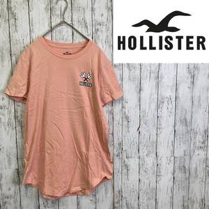 Hollister★ホリスター★メンズ コットン バックロゴ Tシャツ★サイズS　46-106