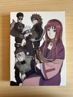 劇場版NARUTO疾風伝 ザ・ロストタワー DVD 完全生産限定版 付録あり