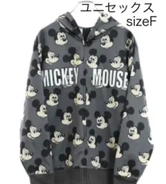 【美品】DisneyResort Mickey&Minnieドッキングパーカー