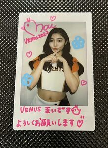 10枚限定 石鳥まい BBM チアリーダー 舞 巨人 直筆サイン メッセージ入り チェキ Auto Cheki ジャイアンツ Venus 5/10