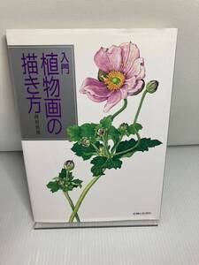 入門植物画の描き方