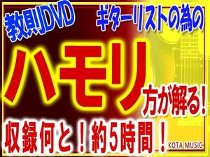 ハモリ方がわかる様になるギタリストの為の教則DVD