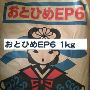 日清丸紅飼料 おとひめEP6 1kg ※送料無料※