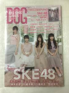 【新品未読】BIG ONE GIRLS 2021年5月号増刊 SKE48限定エディション 野村実代・江籠裕奈・岡本彩夏・川嶋美晴 ミニフォトブック付録