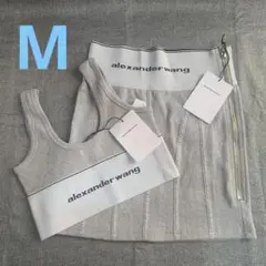 Alexanderwang ブラトップ ミニスカートセット グレー M