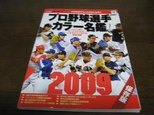 プロ野球選手カラー名鑑2009年