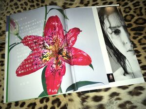 月刊　奥菜恵　SPECIAL NOBUYOSHI ARAKI 050 SHINCHO MOOK 荒木経惟