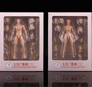 1/18 フィギュア素体　ヘッド　男性　女性　替えパーツ多数　15cm 関節可動