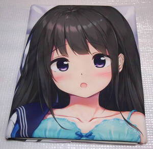 【正規品・中古】 立科美姫 抱き枕カバー よめたん