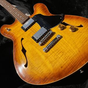 Fano guitars ファノ GF6 Flame maple フレイムメイプル オーダーメイド　激レア