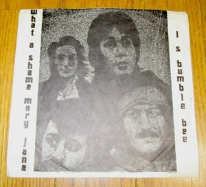 輸入盤1SP：BEATLES/WHAT A SHAME MARY JANE/L.S.BUMBLE BEE/FAB FOUR #101/マルチ・カラー