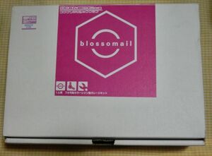 未組立 可動 カラーレジンキット ブロッソメイル blossomail メダロット 国分寺美食楽部 ゲーム ロボット アニメ フィギュア 人形 MEDABOTS