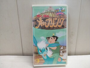 未開封!! 希少!!　レターパックP／アニメーションワールド 手塚治虫 VHS【 青いブリンク 6 】未使用在庫品 NHKビジュアルブック 