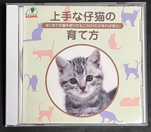 DVD　上手な仔猫の育て方　はじめて仔猫を飼うかたもこのDVDがあれば安心 ペットのコジマ