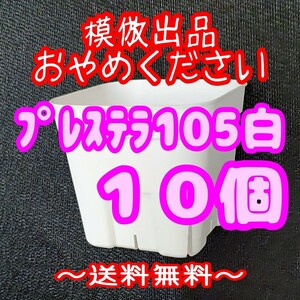 ◆送料無料◆【スリット鉢】プレステラ105白10個 多肉植物 プラ鉢 3.5号鉢 相当