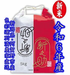 新米・令和6年産　新潟　新之助　白米5kg × 1個★農家直送★色彩選別済18