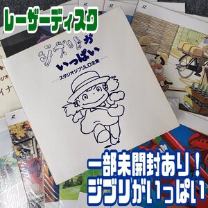 一部未開封! スタジオジブリ作品LD全集 13枚組 ジブリがいっぱい レーザーディスク 宮崎駿 トトロ/紅の豚/ナウシカなど 当時物【100t3871】