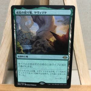 MTG 《成長の揺り篭、ヤヴィマヤ/Yavimaya, Cradle of Growth》[MH2] 土地R モダンホライゾン2