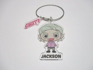 韓国　☆GOT7 ジャクソン☆ ワイヤーアクリルキーホルダー