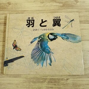 仕掛絵本[羽と翼 かがく・しかけえほん] ポップアップ 大日本絵画 昆虫や鳥類、航空機の飛ぶ原理【送料180円】