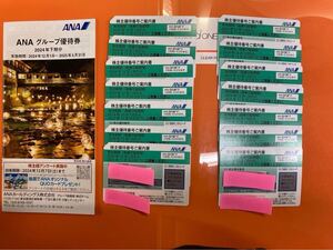 送料無料　最新　全日空　ANA株主優待券14枚　グループ優待券1冊　使用期限　2025年11月30日迄