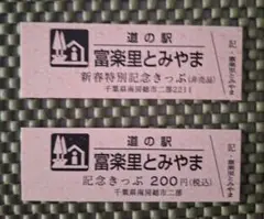 道の駅 富楽里とみやま新春特別 記念きっぷ