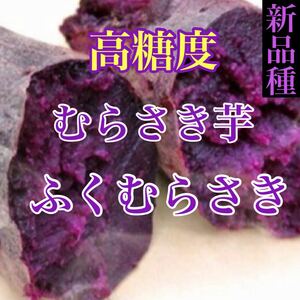 新品種！高糖度むらさき芋【ふくむらさき】箱込み1キロ超　送料無料