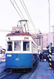 【鉄道写真】南海電鉄和歌山軌道線モ300形302 [9000365]