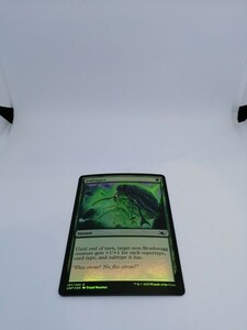 MTG 【EN】【Foil】《Embiggen》[UNF] 緑C