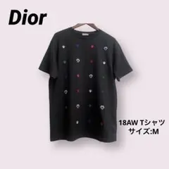 【極美品・希少】18AW Dior Homme BEE マルチカラー Tシャツ