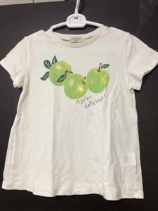 KP ニットプランナー、トロワラパン／半袖Tシャツ／青りんご柄、グリーンアップル／サイズ130