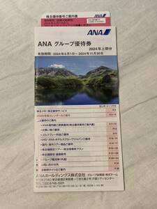 ANA 株主優待 割引券一枚 冊子