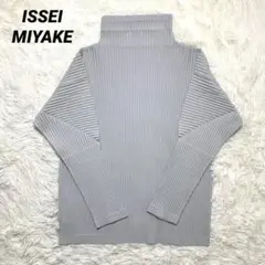 【希少】HOMME PLISSE ISSEY MIYAKE ハイネック ロンT