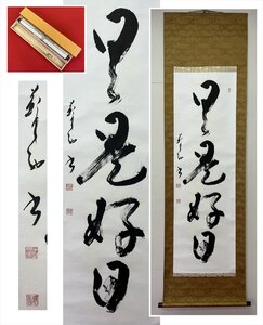 【千寿】書家 時田蘇西 日々是好日 一行書 紙本 d859◆箱/茶道具/古美術/時代品/掛軸/100027848