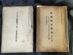 旧日本軍 軍事資料 古書 欧州戦争叢書 日本軍 資料 ノンフィクション 作戦内容 当時物 貴重資料 2点まとめ