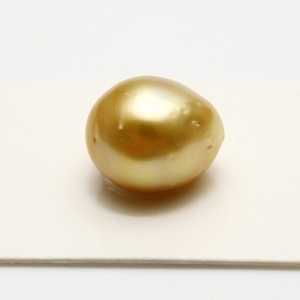 南洋白蝶真珠パールルース　両穴　15×13mm　ナチュラルゴールドカラー