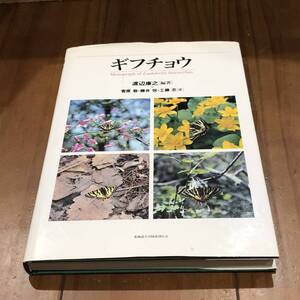 ギフチョウ　渡辺康之　北海道大学図書刊行会　署名入り　1996年　【53】