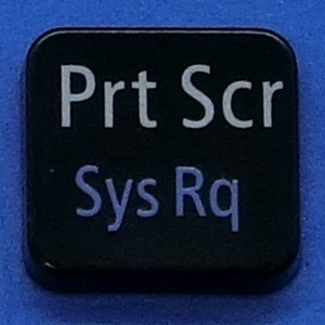 キーボード キートップ Prt Scr Sys Rq 黒消 パソコン NEC LAVIE ラヴィ ボタン スイッチ PC部品