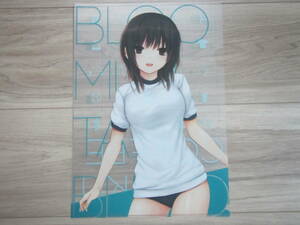 【B-02】珈琲貴族/BLUEMOUNTAIN　BLEND　A4　クリアファイル　青山澄香　アニメ　コミック　グッズ　文房具　美少女　☆同梱可