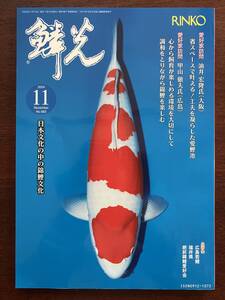 錦鯉 鱗光2024年11月号