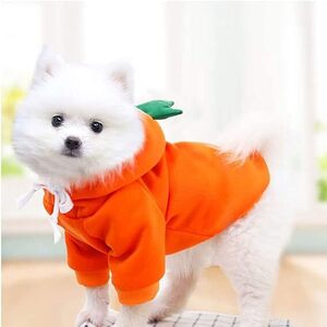 DERAYEE ペット 服 犬 にんじんに変身 撮影 秋 冬 コスプレ 小型 （にんじん風パーカー犬服とレッグウオーマーのセット/Mサイズ)