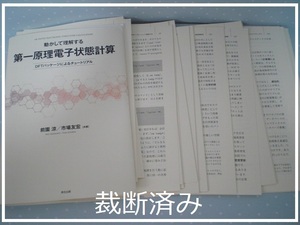 ★裁断済★ 動かして理解する 第一原理電子状態計算 DFTパッケージによるチュートリアル 前園涼 市場友宏 2020 DFT計算 入門書 Mac Windows