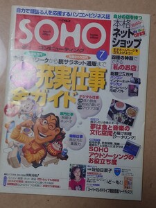 SOHO コンピューティング 在宅 充実仕事