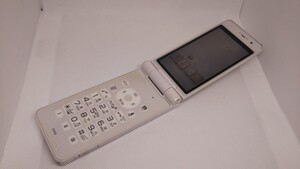 M109 docomo FOMA P-01E Panasonic パナソニック ガラケー 折り畳み式 簡易動作確認＆簡易清掃＆初期化OK 判定○ 現状品 送料無料