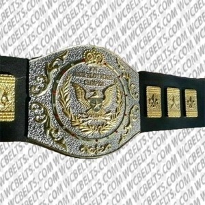 送料無料 WWF Junior ジュニアヘビー級 レスリング ヘビー級 ジュニア ワールド プロレス チャンピオンベルト レプリカ