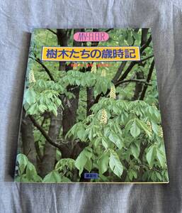 樹木たちの歳時記 マイフルールシリーズ 　林 弥栄、 富成 忠夫 講談社　昭和59年