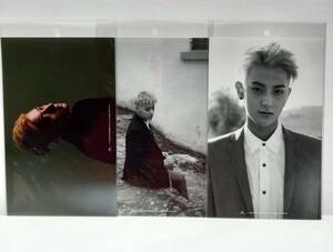 即決【公式】EXO★EXODUS★フォト★タオ 3種　SM SUM　オフィシャル　グッズ　写真　フォトカード　ファン・ズータオ　君は僕の談判官　