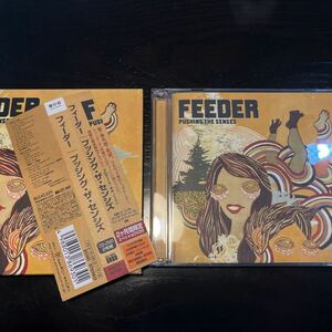 DVD付き/FEEDER/PUSHING THE SENSES/国内盤/送料全国一律180円