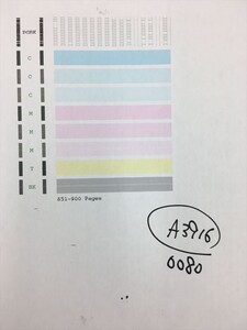 【A3916】プリンターヘッド ジャンク 印字確認済み QY6-0080 CANON キャノン PIXUS MG5230 MG5330 iP4930 MX883 MX893 iX6530